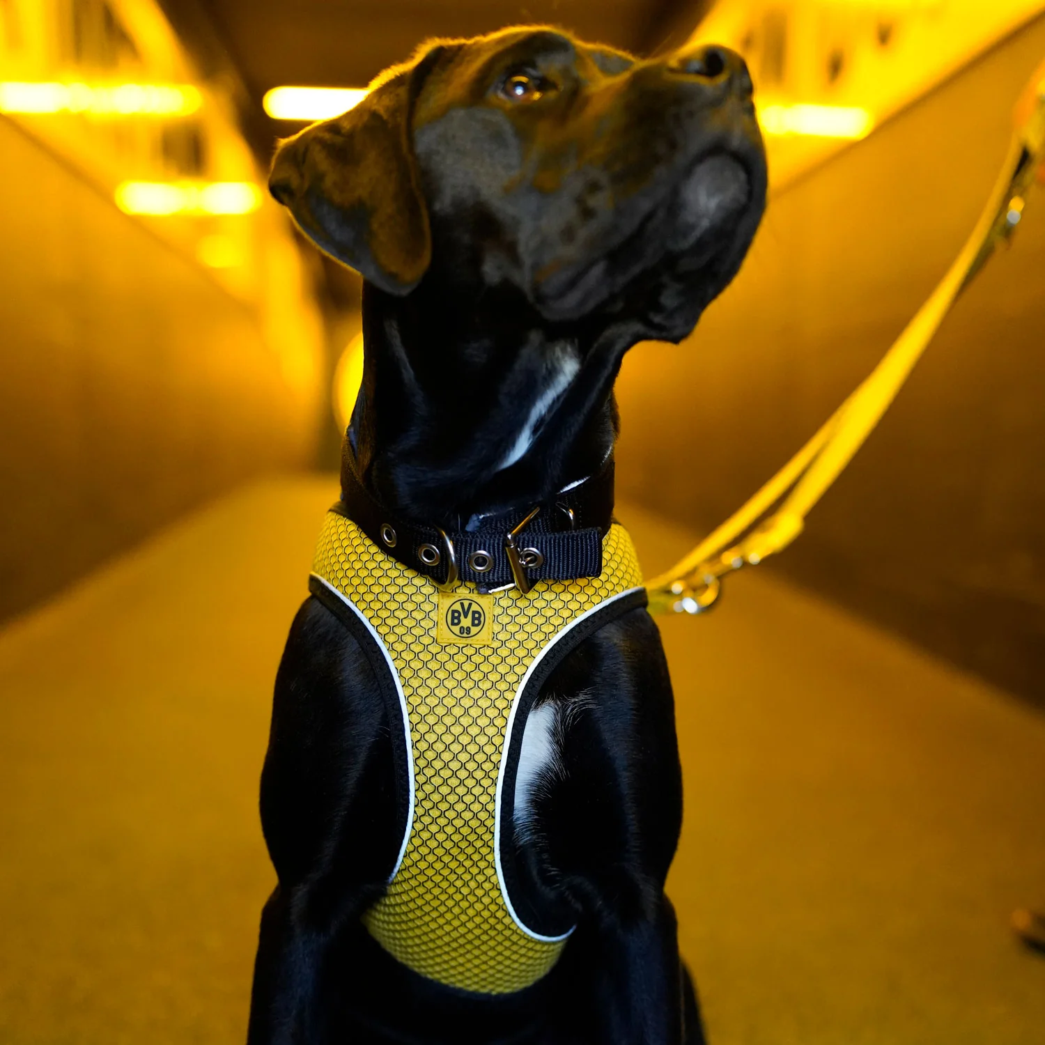 Vorschaubild 7