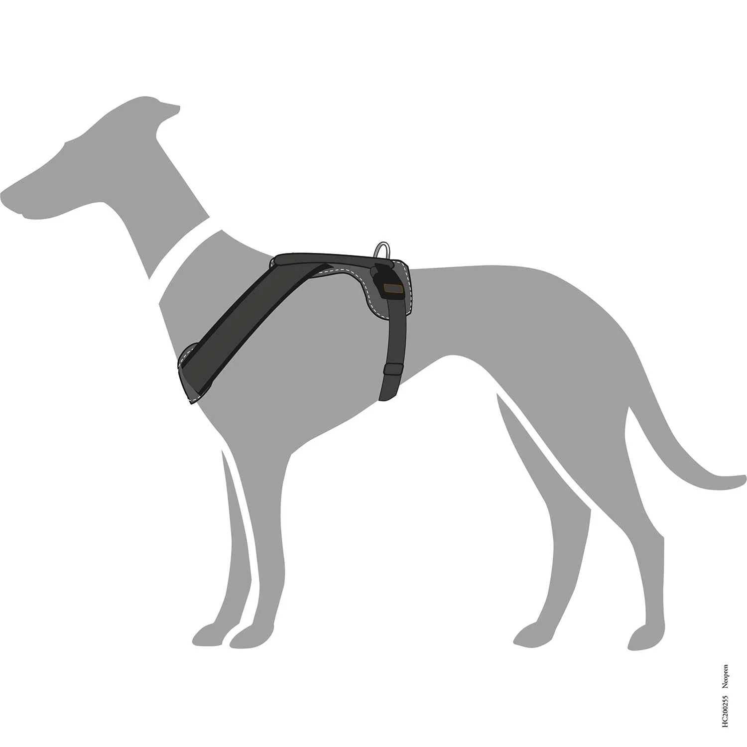 Vorschaubild 25