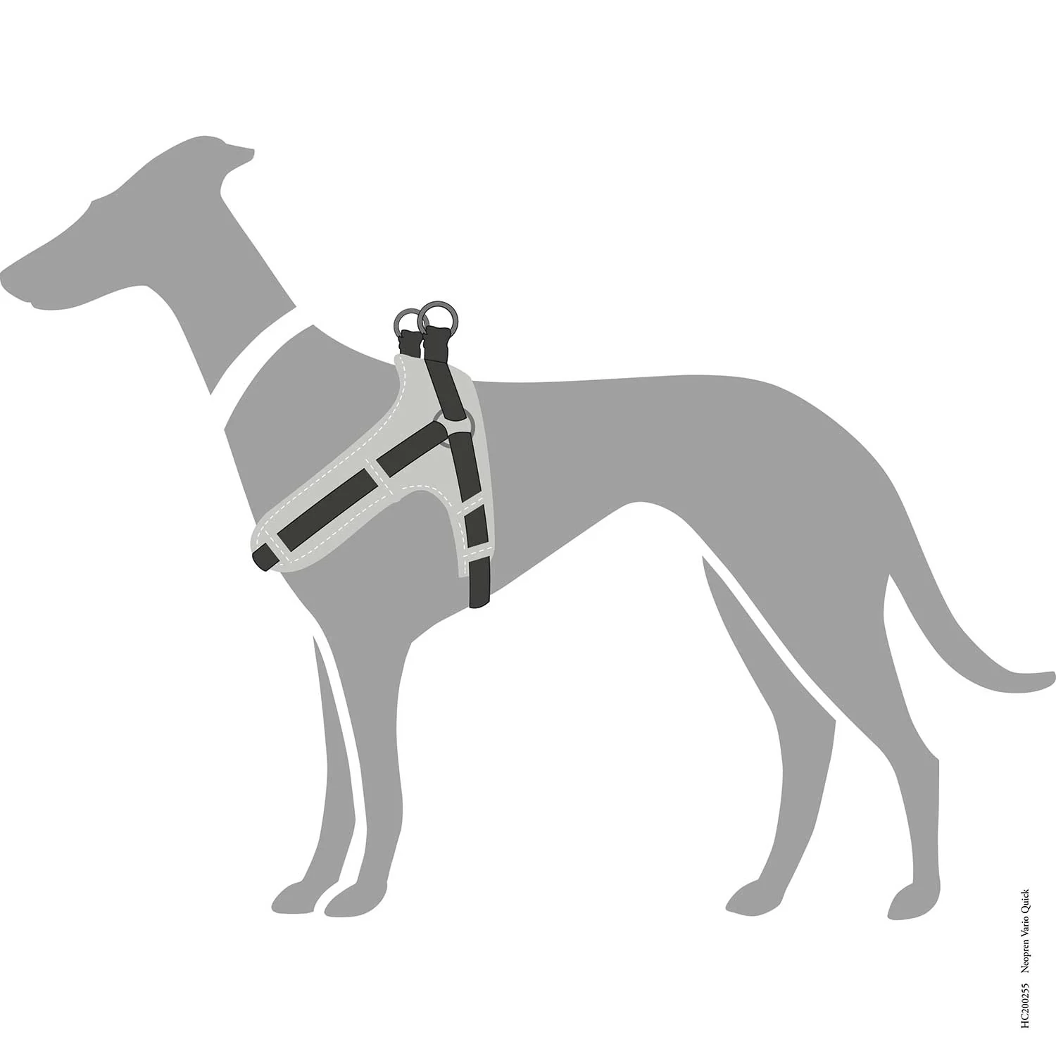 Vorschaubild 6