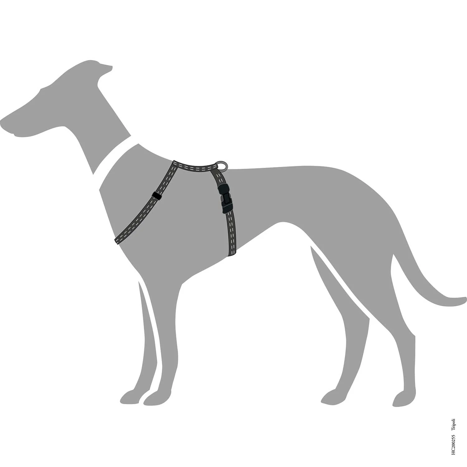 Vorschaubild 52