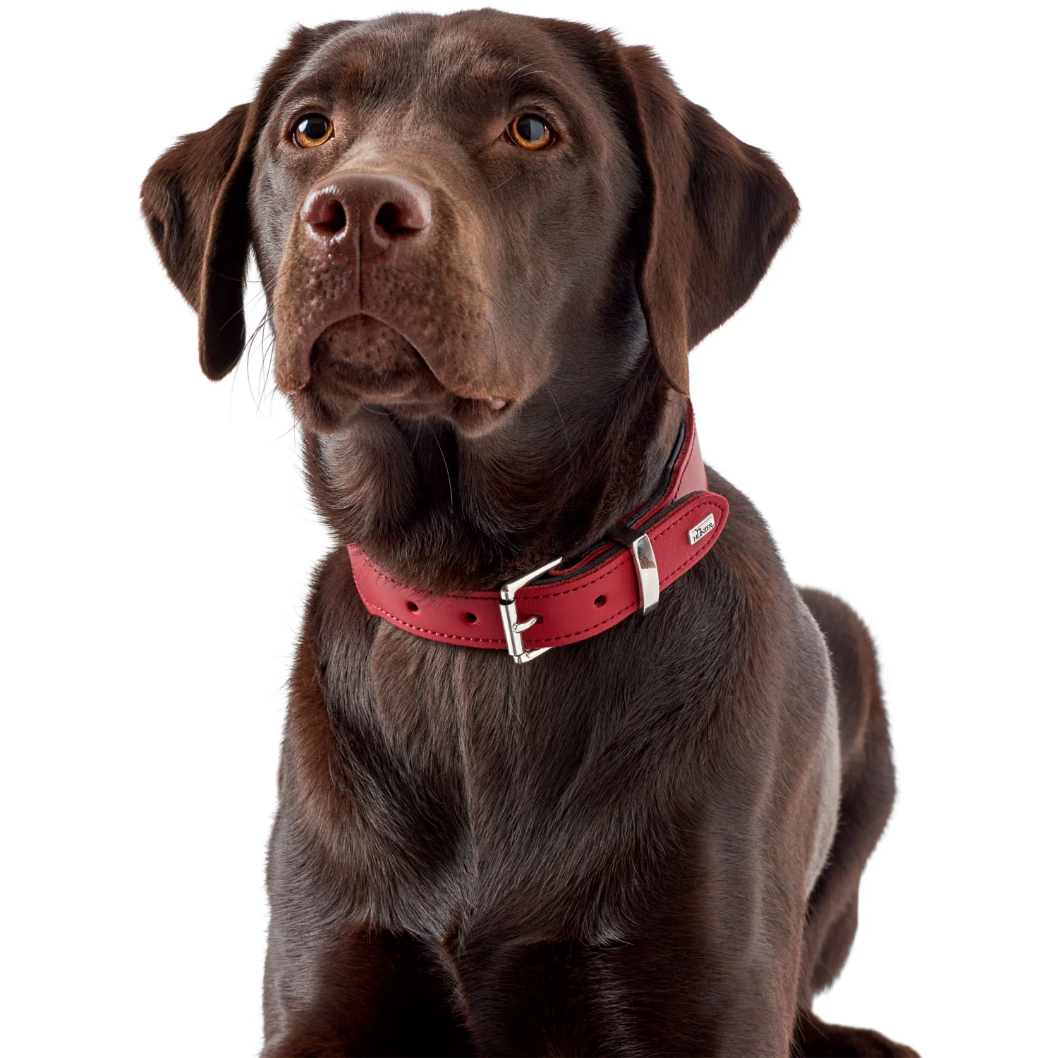 Vorschaubild 10