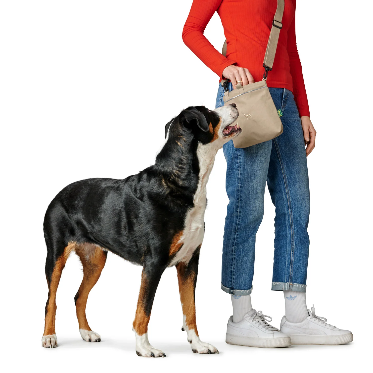 Vorschaubild 10